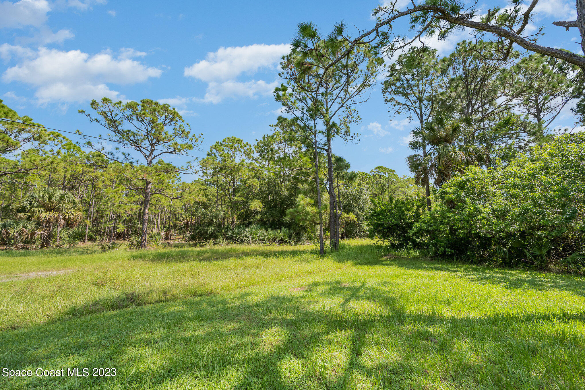 1061 Spring Street Northwest Palm Bay, FL 32907 - Photo 23 of 23 a view of a yard with a house in the background