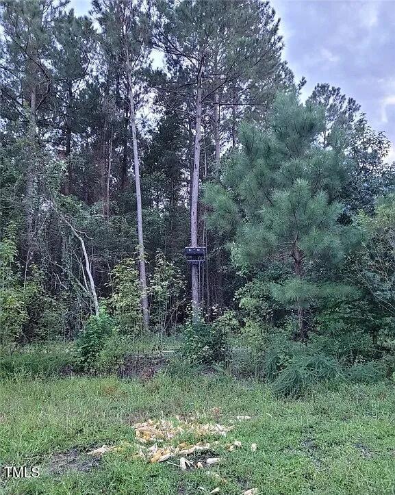 10505 Ruth Vinson Road Autryville, NC 28318 - Photo 6 of 15 hunting stand