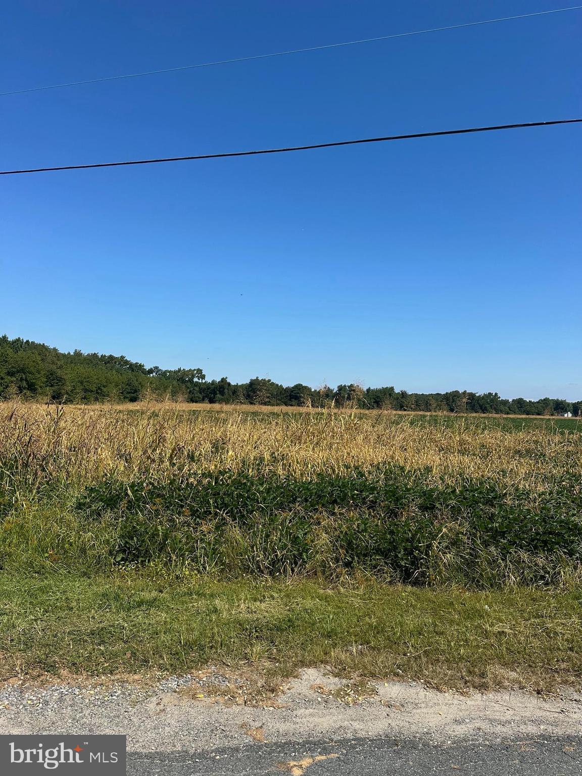 Newtown Road Chester, MD 21619 - Photo 2 of 7 a view of lake view and mountain view