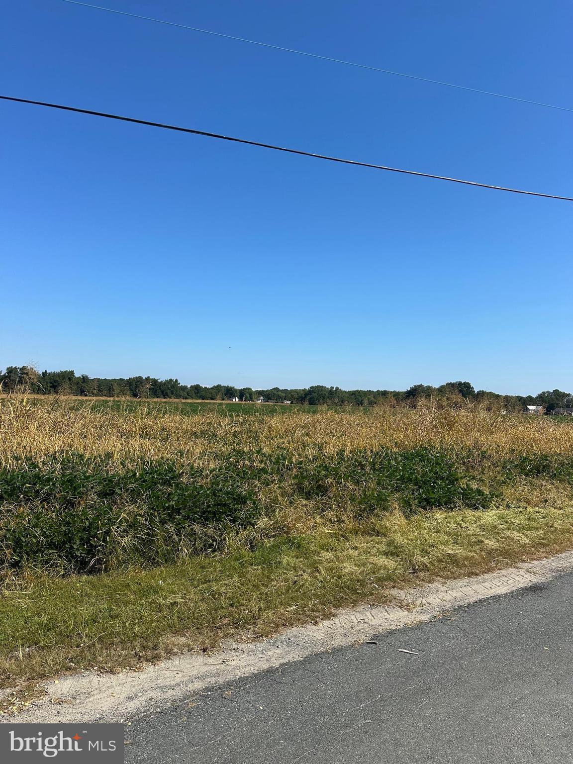 Newtown Road Chester, MD 21619 - Photo 3 of 7