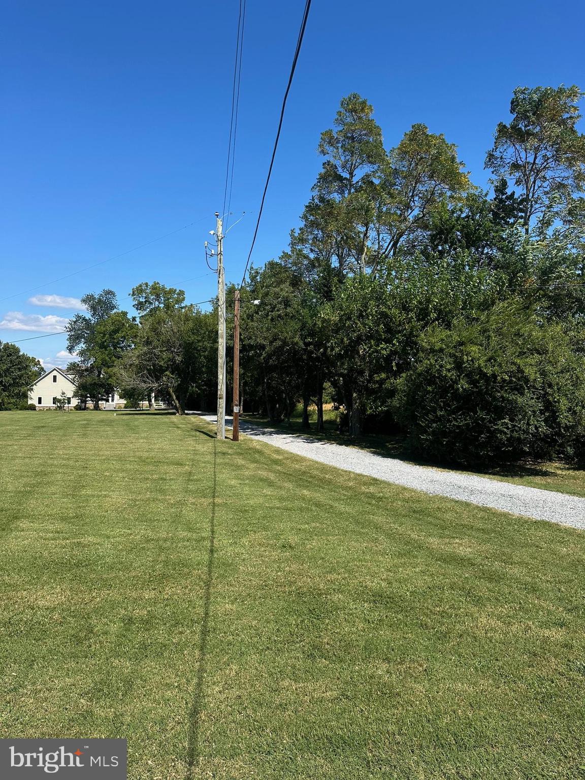 Newtown Road Chester, MD 21619 - Photo 6 of 7 a view of a green yard