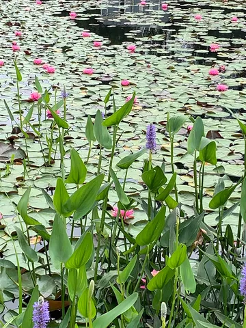 $435,000 | 475 Webster Road, Hyde Park, VT 05655