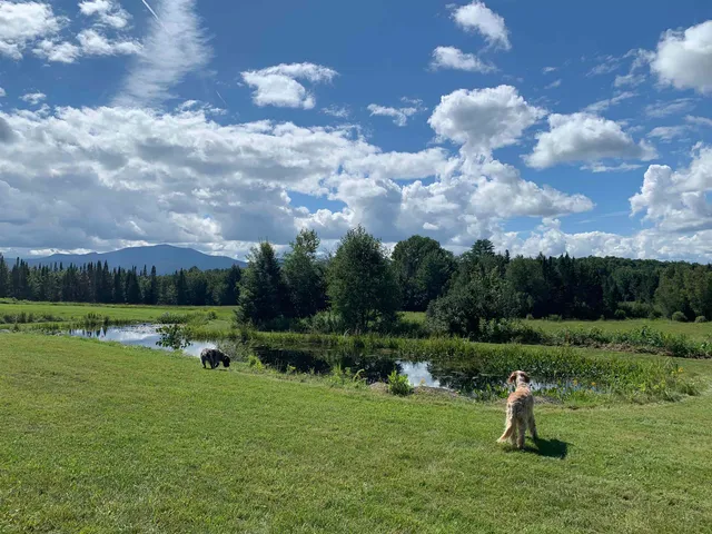 $435,000 | 475 Webster Road, Hyde Park, VT 05655