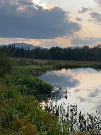 $435,000 | 475 Webster Road, Hyde Park, VT 05655