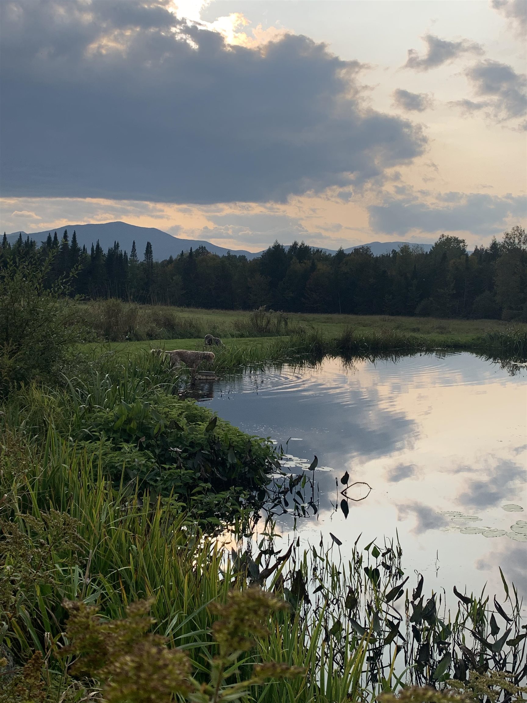 475 Webster Road Hyde Park, VT 05655 - Photo 16 of 31 Gallery Image 16