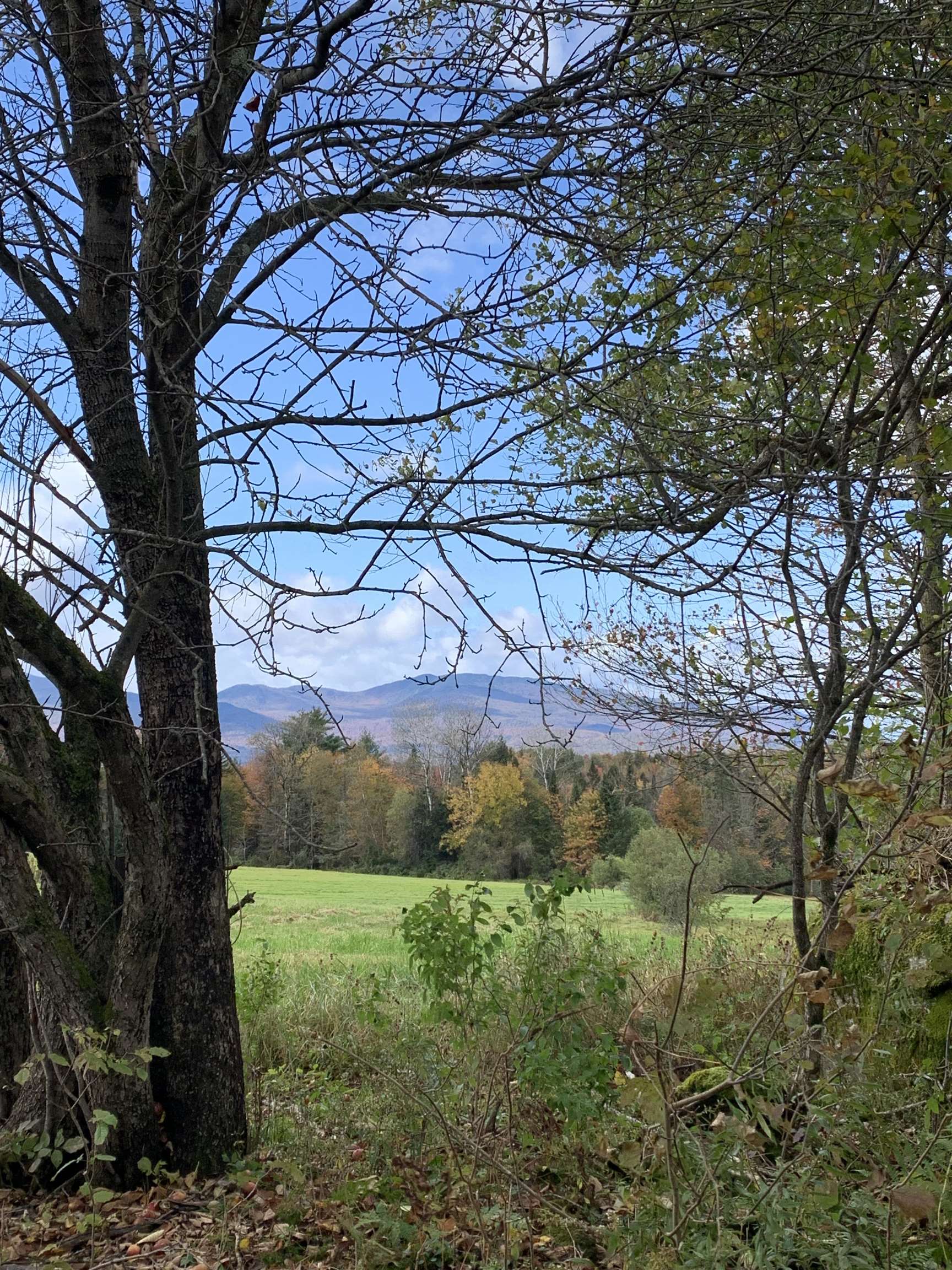 475 Webster Road Hyde Park, VT 05655 - Photo 23 of 31 Gallery Image 23