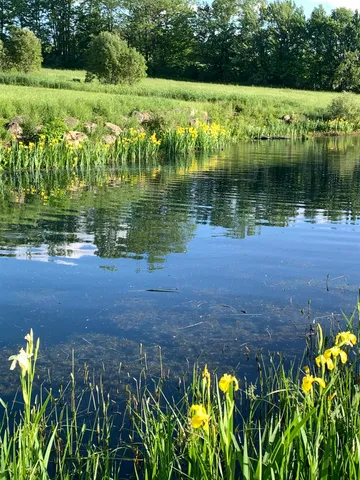 $435,000 | 475 Webster Road, Hyde Park, VT 05655