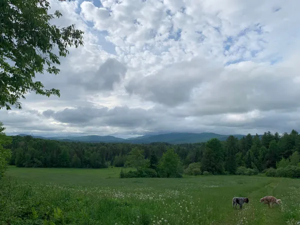 $435,000 | 475 Webster Road, Hyde Park, VT 05655