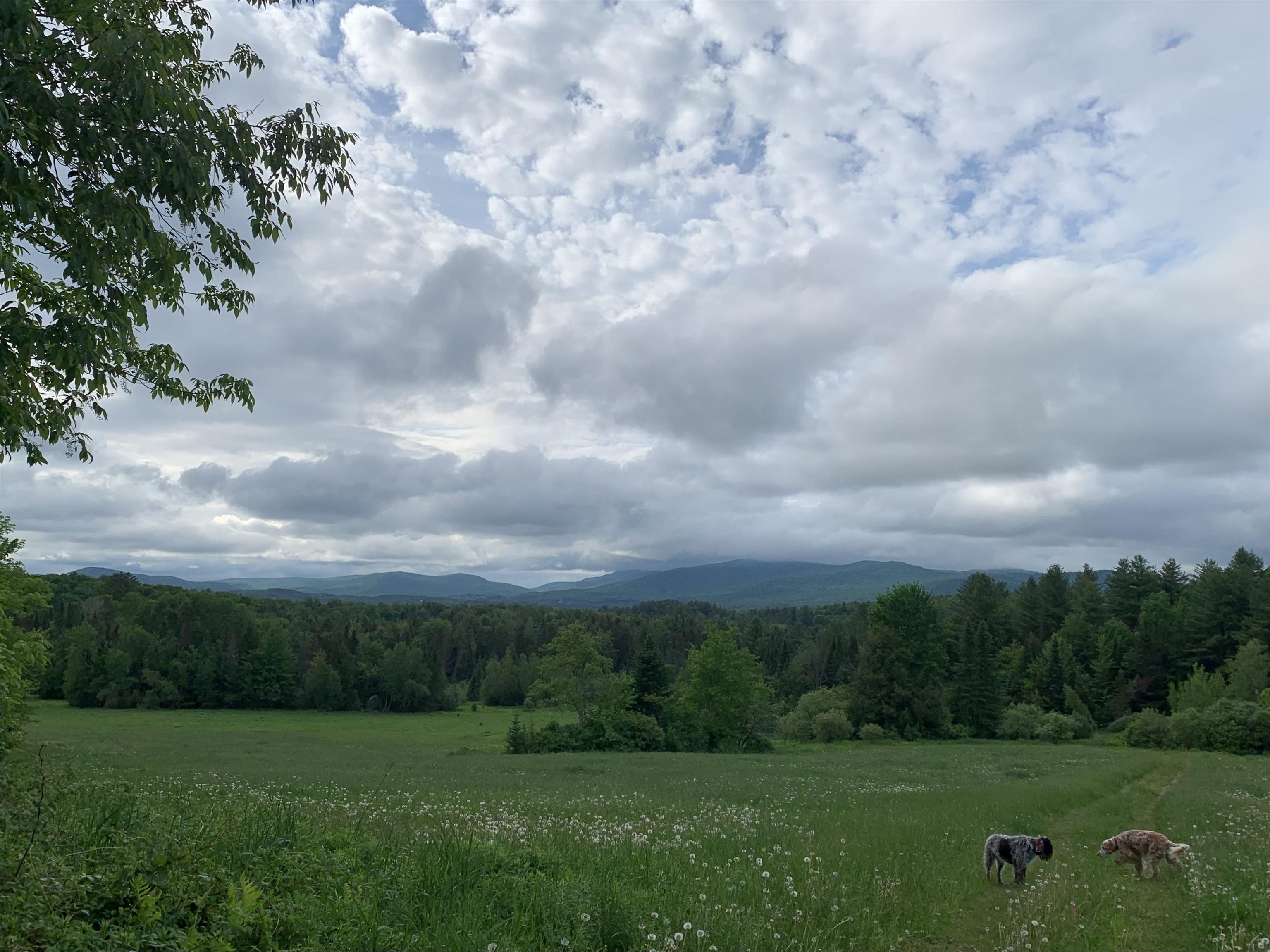 475 Webster Road Hyde Park, VT 05655 - Photo 7 of 31 Gallery Image 7