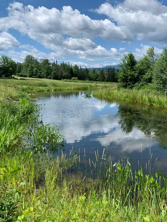 $435,000 | 475 Webster Road, Hyde Park, VT 05655