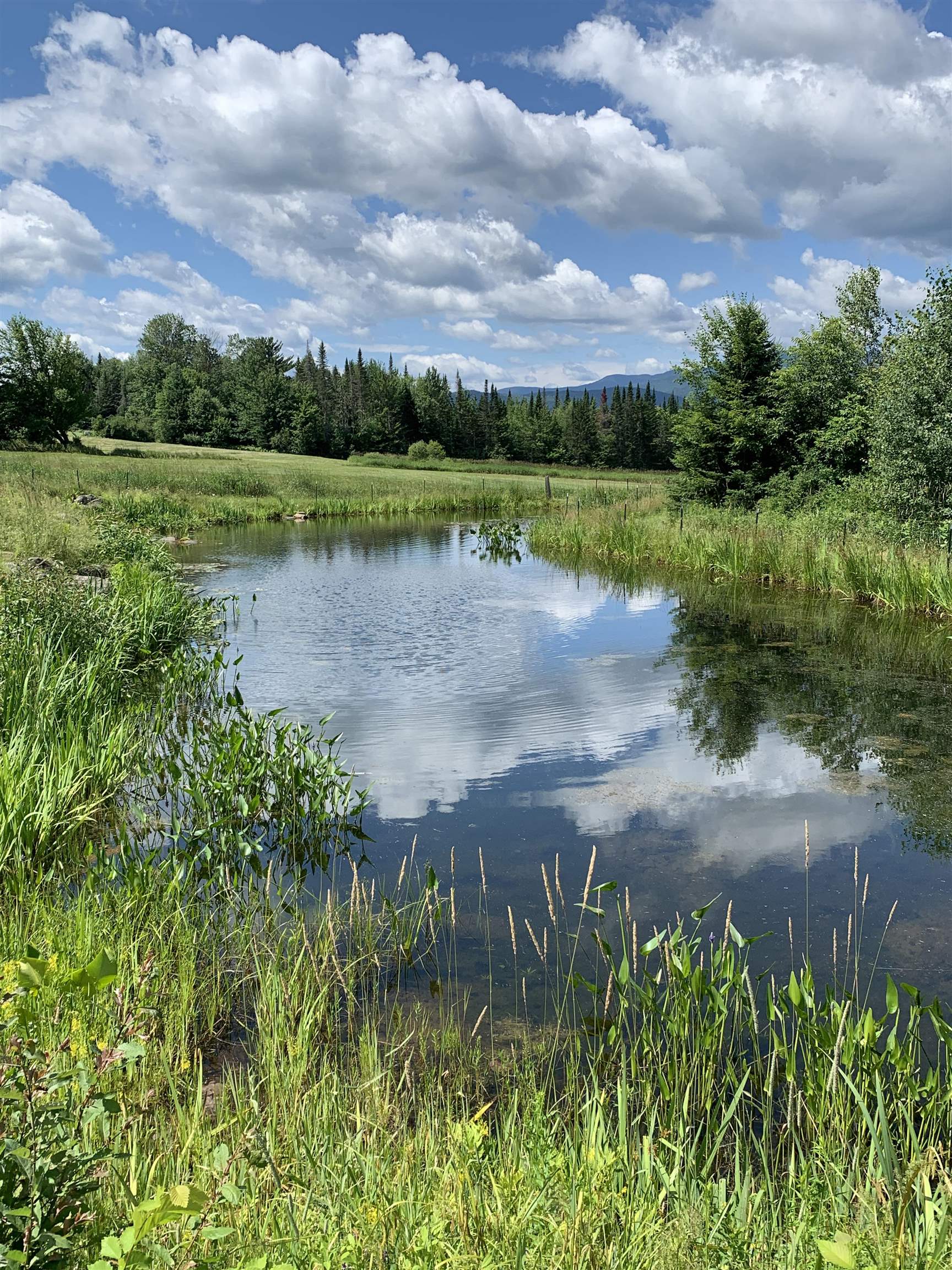 475 Webster Road Hyde Park, VT 05655 - Photo 8 of 31 Gallery Image 8
