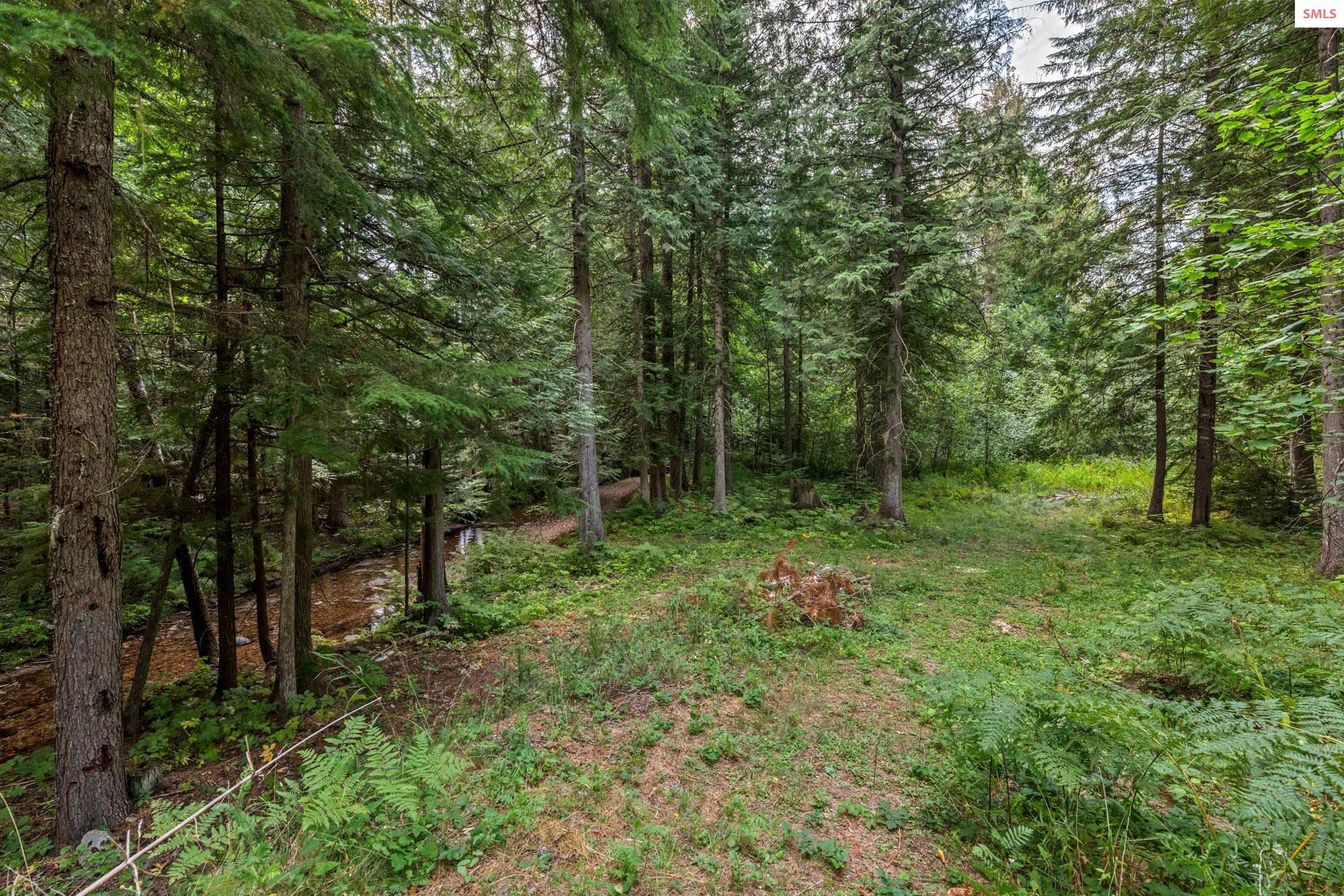 185 Carr Creek Road Sandpoint, ID 83864 - Photo 17 of 24 Gallery Image 17