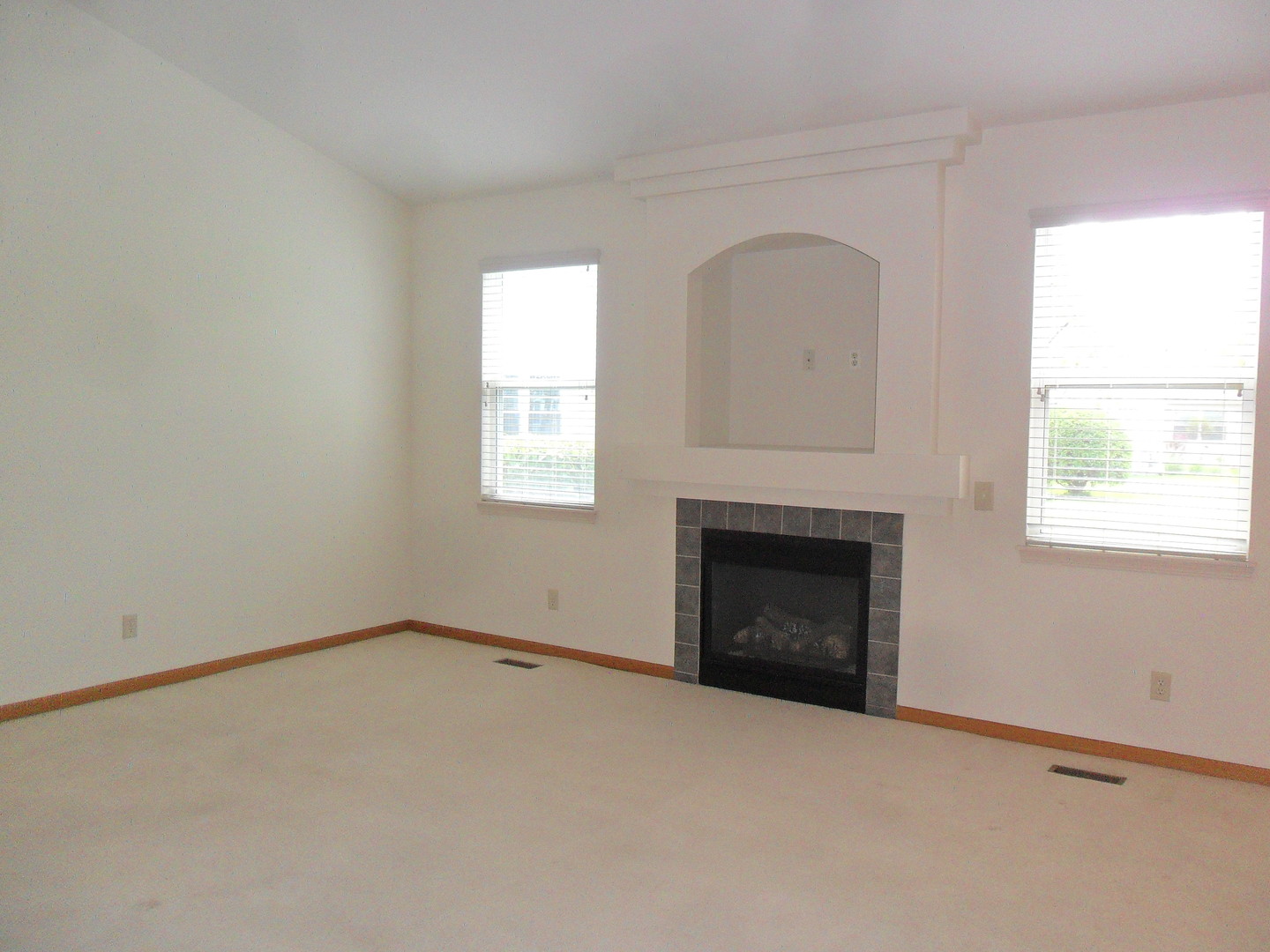 678 Cadillac Circle Romeoville, IL 60446 - Photo 5 of 21