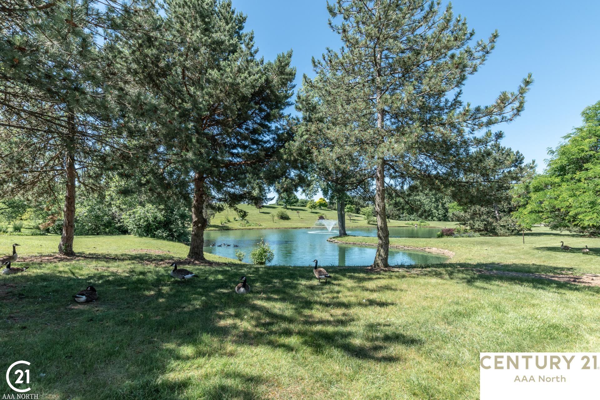 2327 Rochelle Park Drive Rochester Hills, MI 48309 - Photo 10 of 58