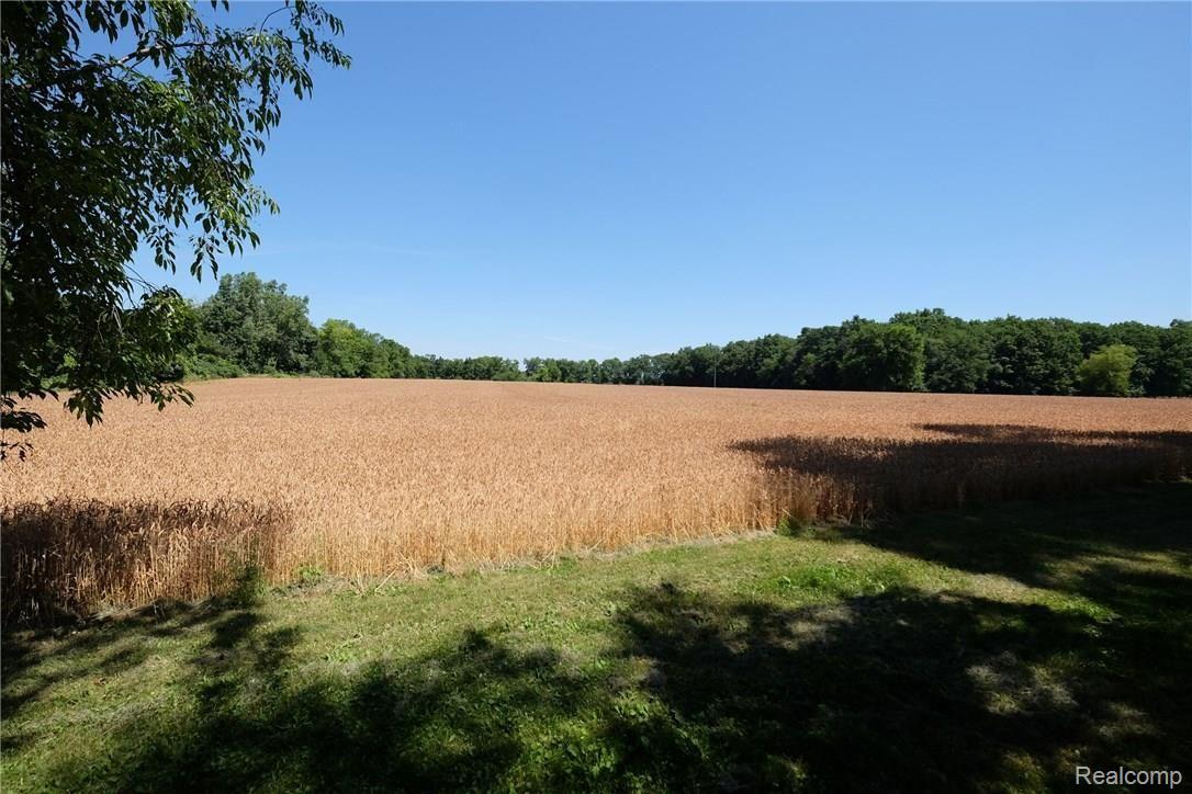 230 North Dancer Road Dexter, MI 48130 - Photo 21 of 21 raw land.jpg