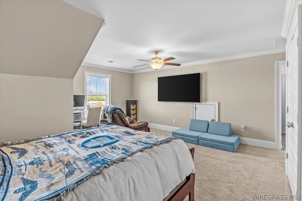 243 Sandbed Road Newton, AL 36352 - Photo 34 of 44 Gallery Image 34