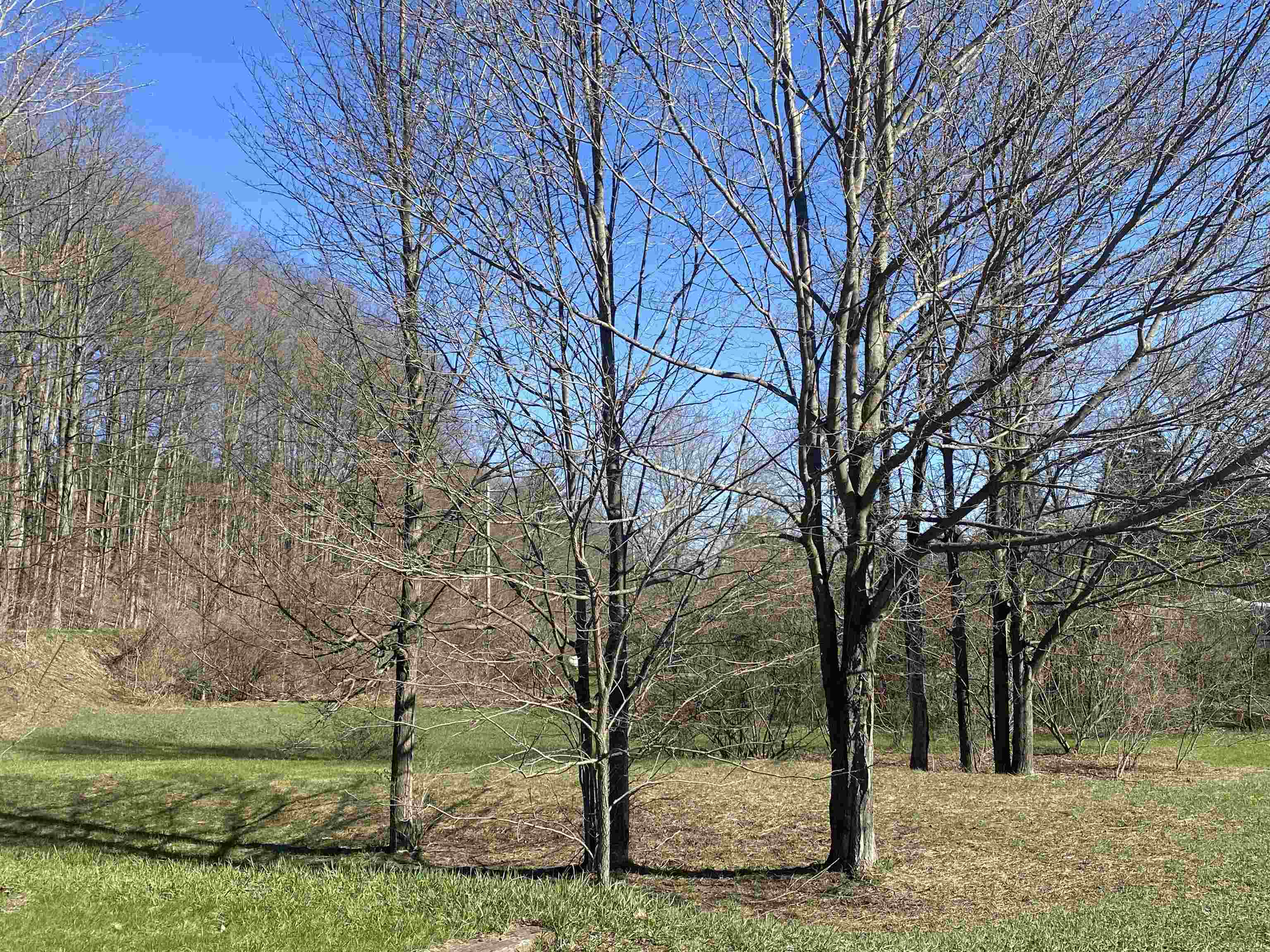 790 Case Road Beulah, MI 49617 - Photo 5 of 19