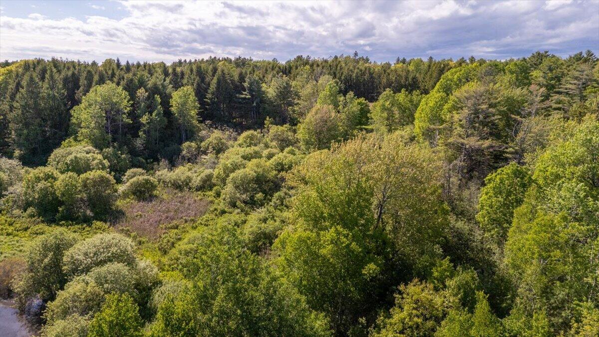20 Map Street South Thomaston, ME 04858 - Photo 5 of 17 04-Iron tree-4