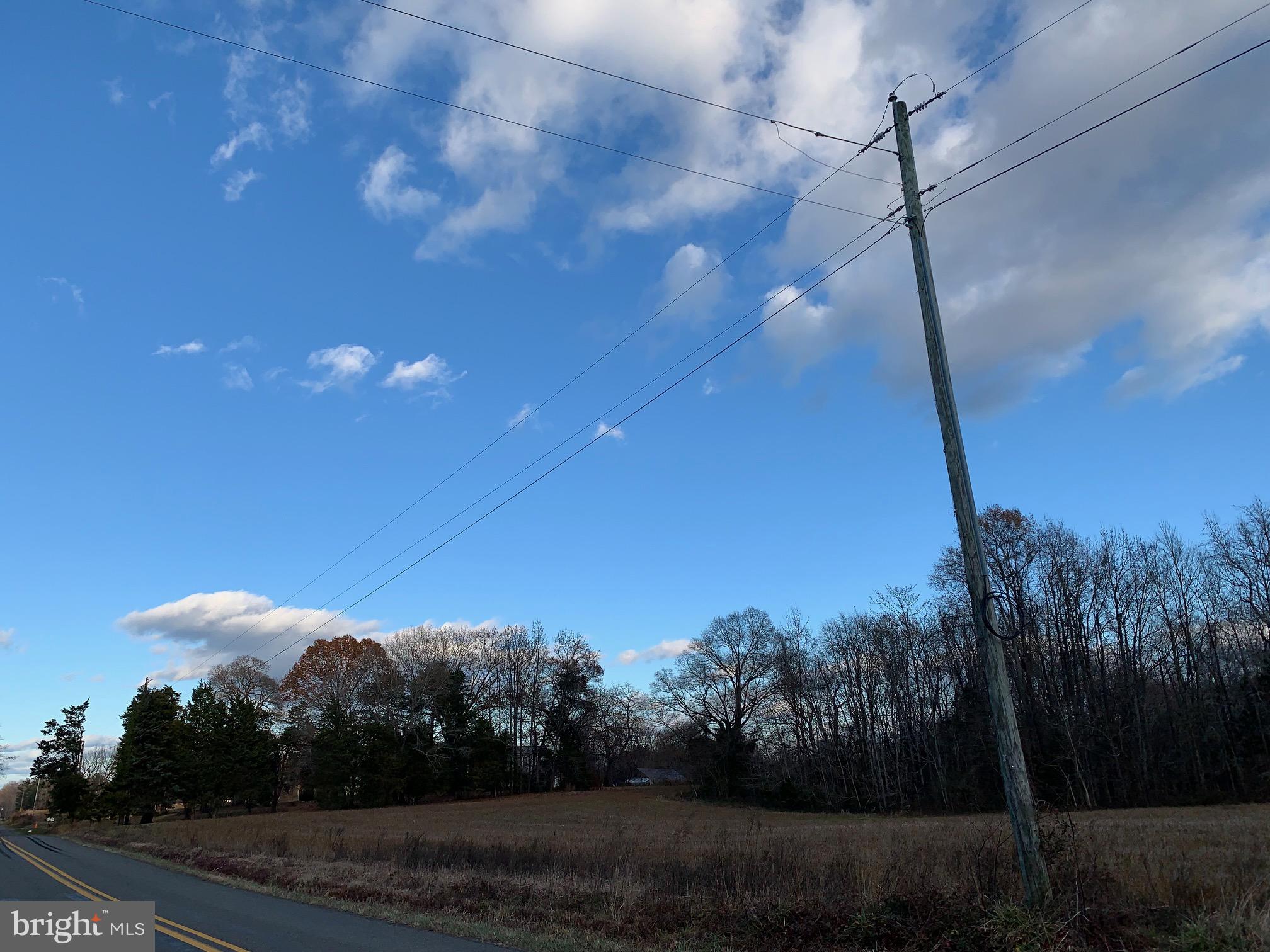 Pottiesville Road Bumpass, VA 23024 - Photo 11 of 19 View of Land from Road