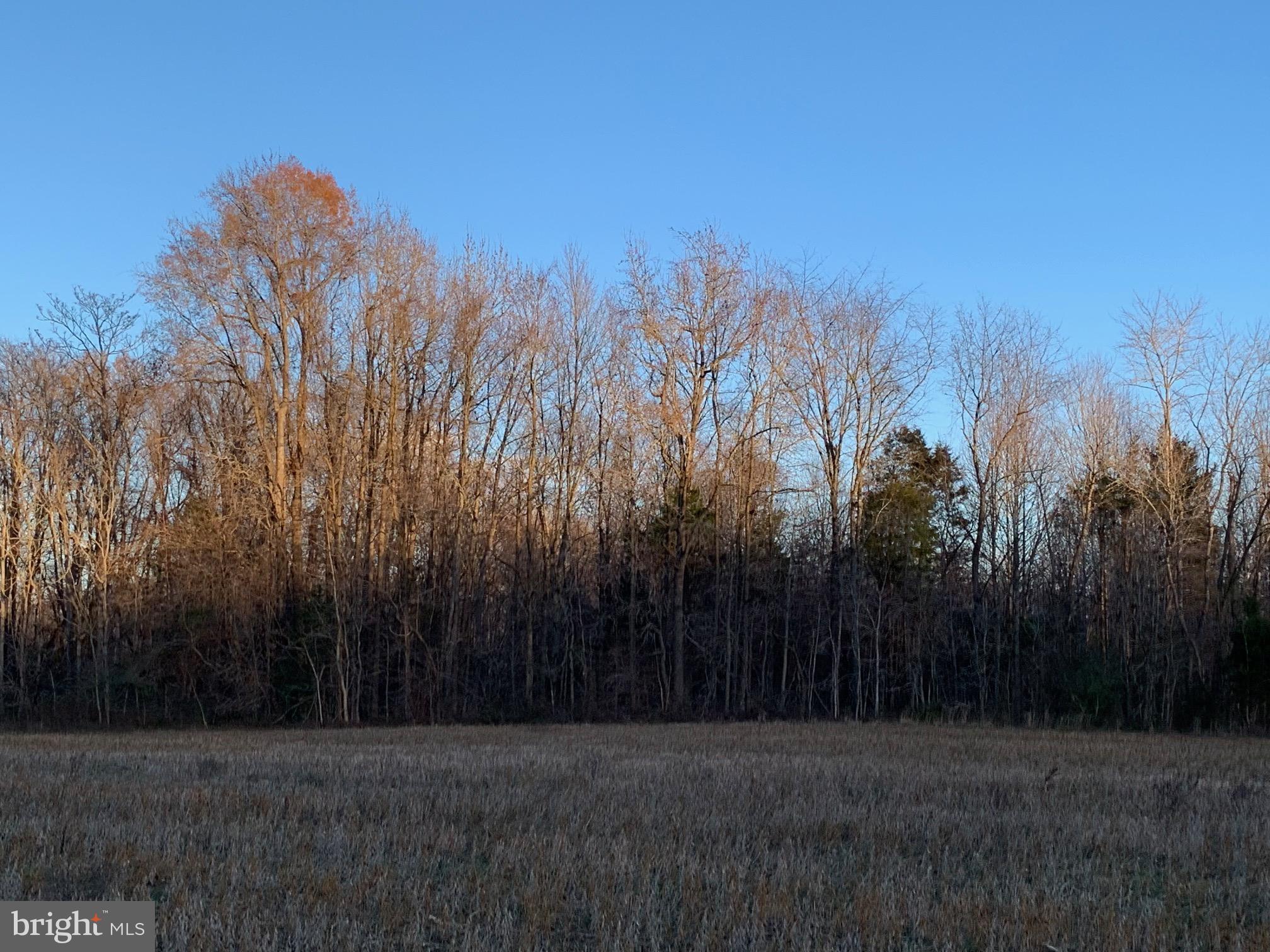Pottiesville Road Bumpass, VA 23024 - Photo 12 of 19 Roadside View of Land