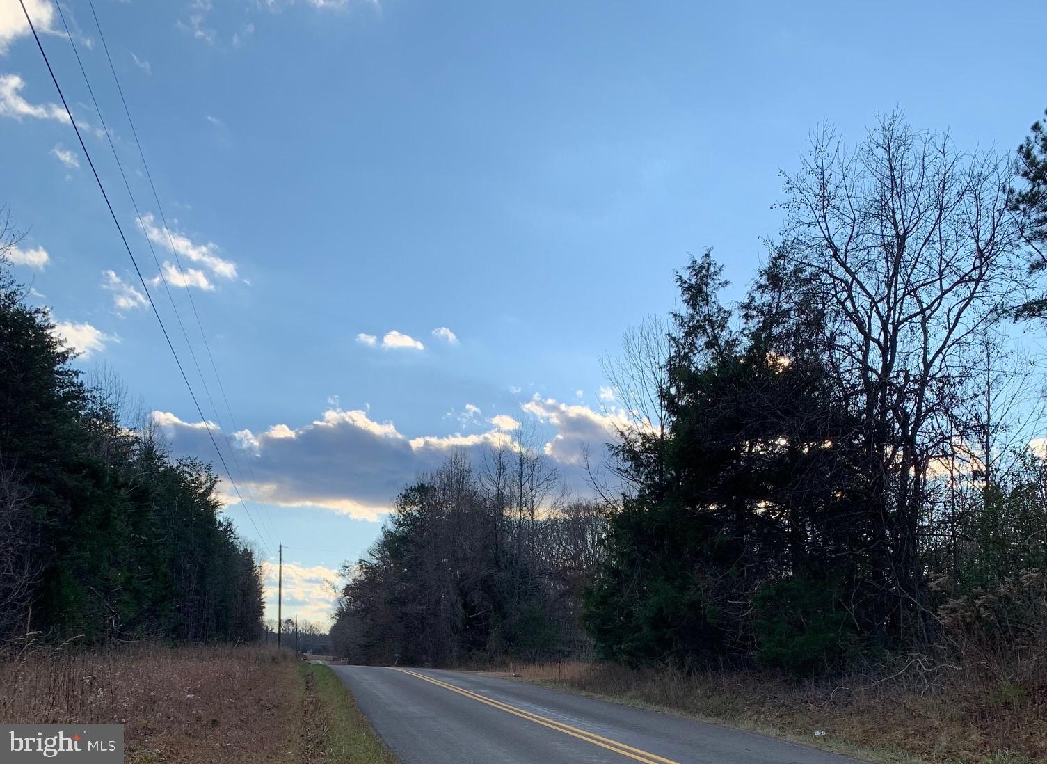 Pottiesville Road Bumpass, VA 23024 - Photo 13 of 19 Evergreens on Left Near Far Right Boundary