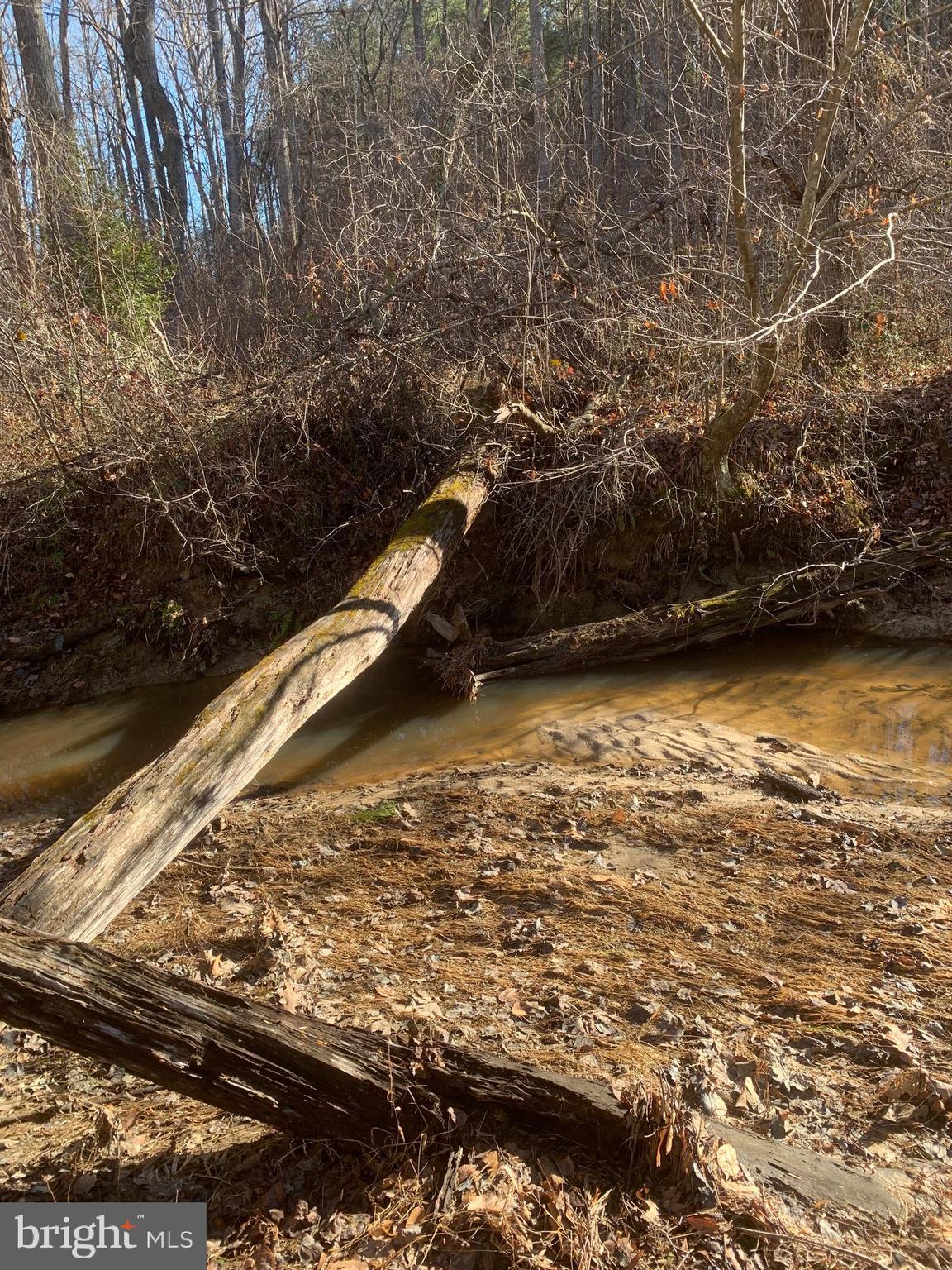 Pottiesville Road Bumpass, VA 23024 - Photo 14 of 19 Log over Rock Creek
