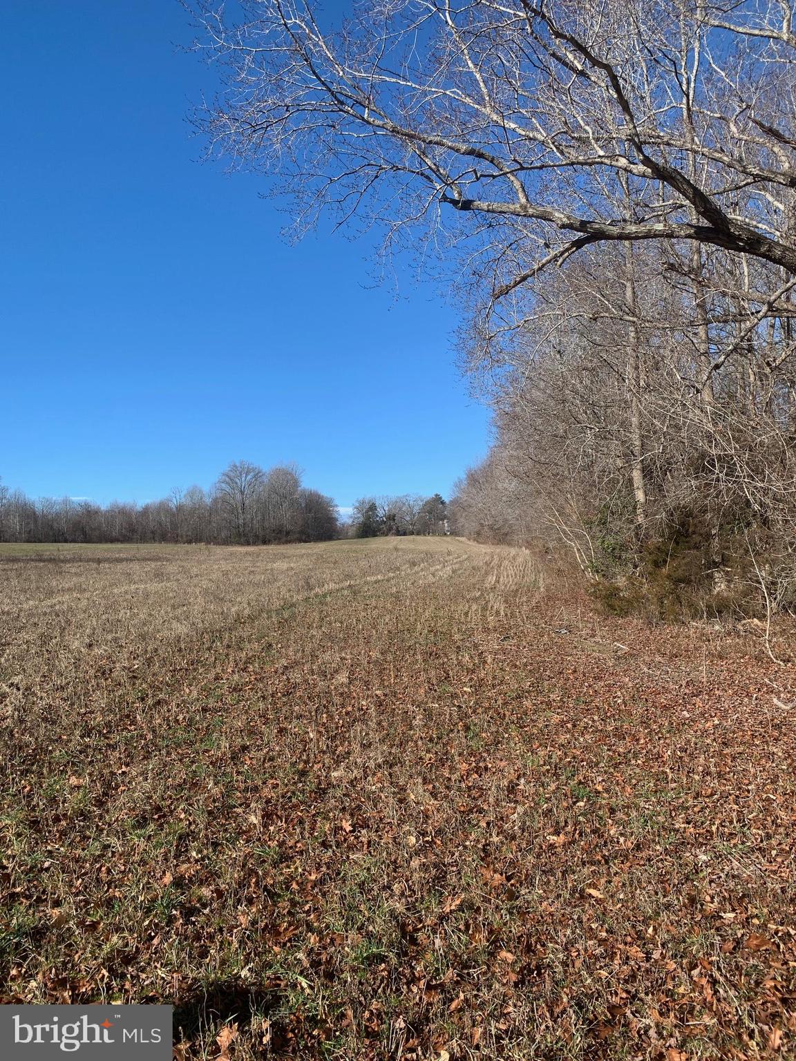 Pottiesville Road Bumpass, VA 23024 - Photo 17 of 19 Long Pasture View Looking Towards Pottiesville Rd