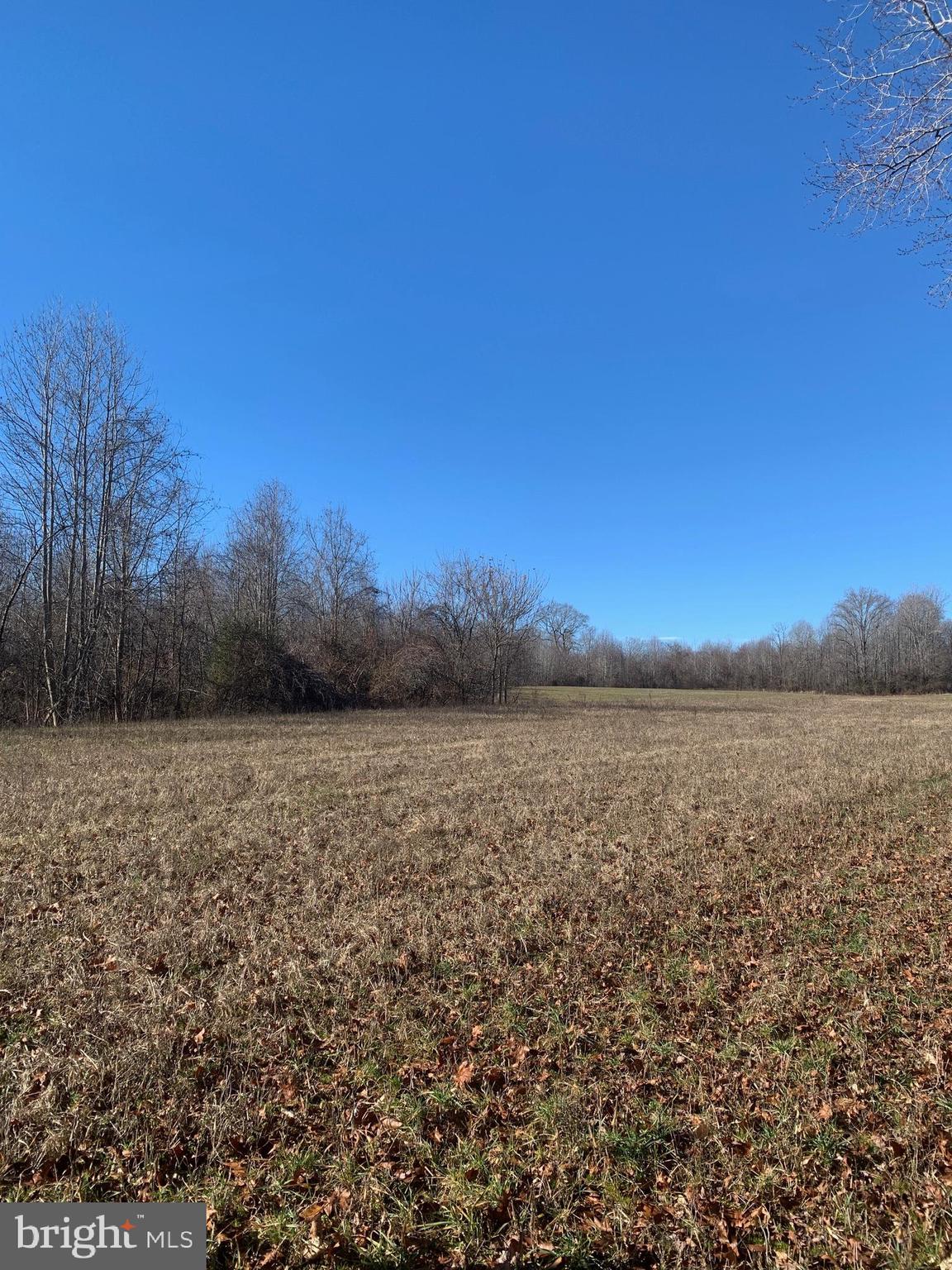Pottiesville Road Bumpass, VA 23024 - Photo 18 of 19 Another View of Pasture Land