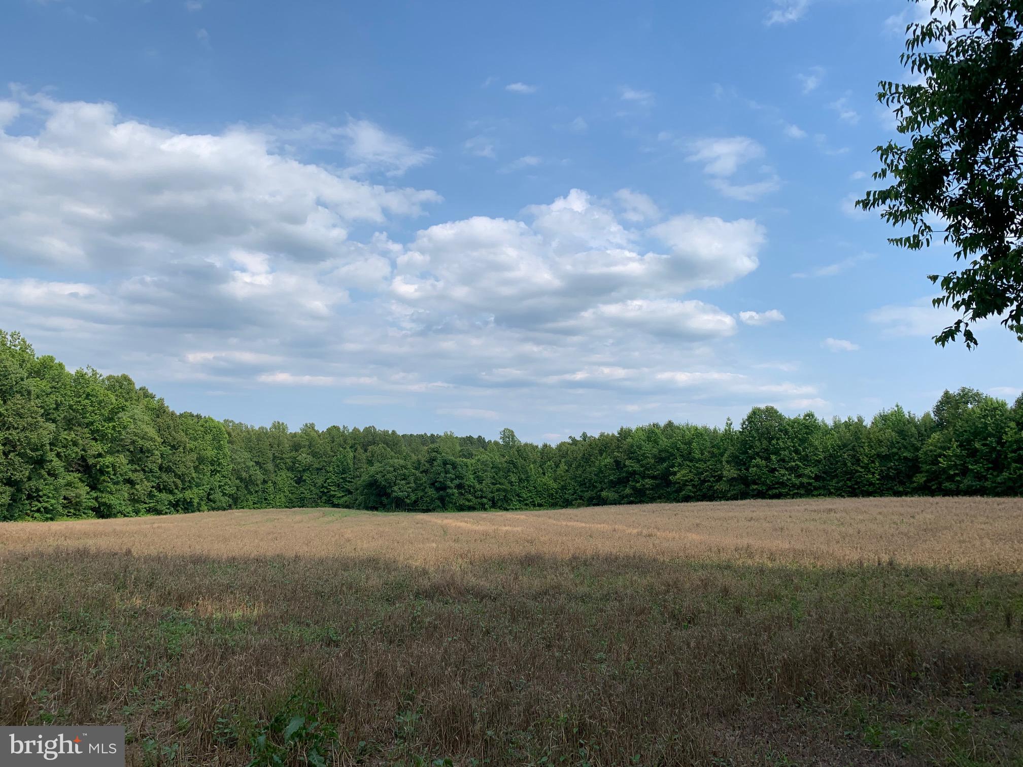 Pottiesville Road Bumpass, VA 23024 - Photo 2 of 19 Open Tillable Land
