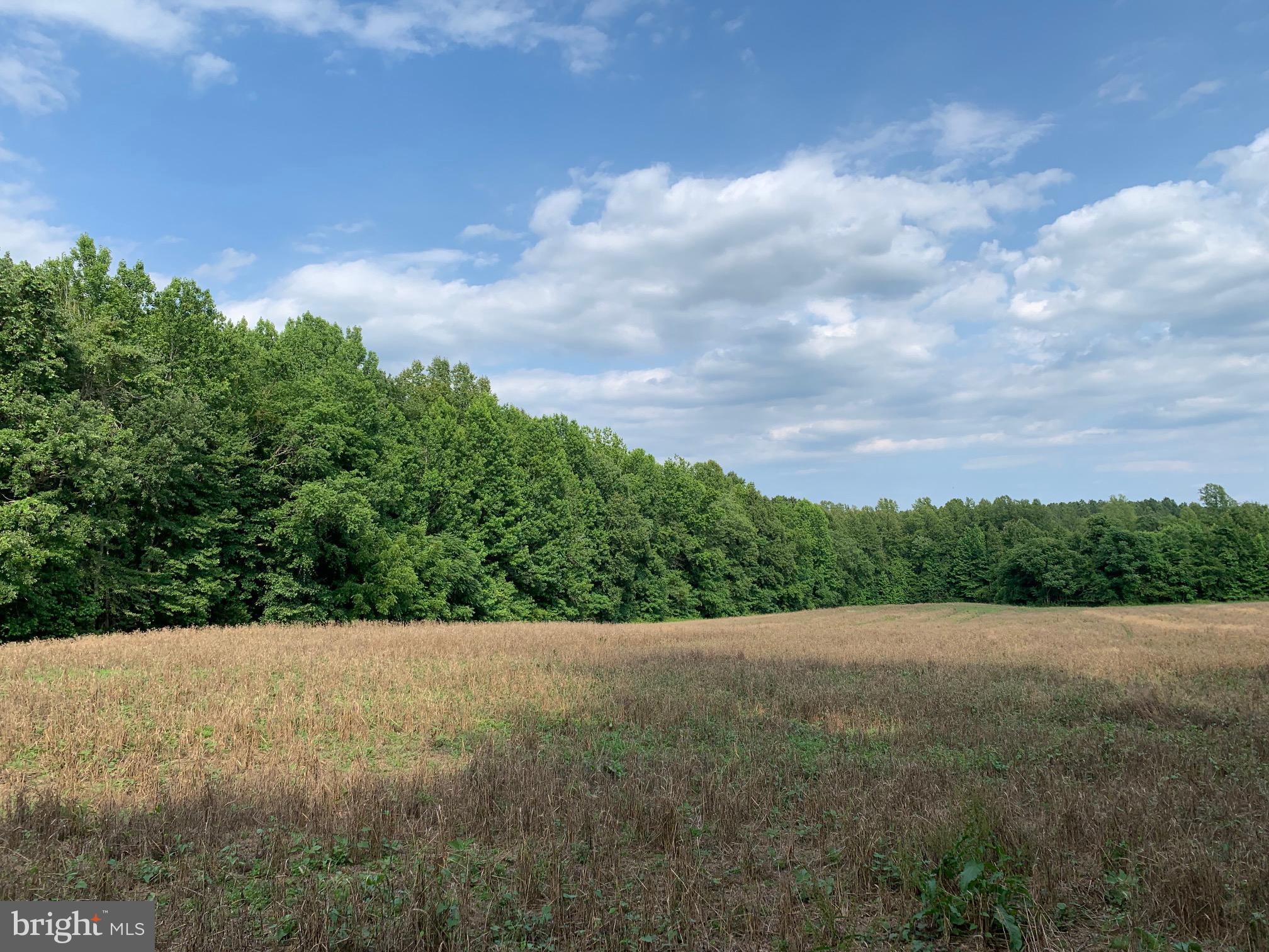 Pottiesville Road Bumpass, VA 23024 - Photo 3 of 19 Open Field