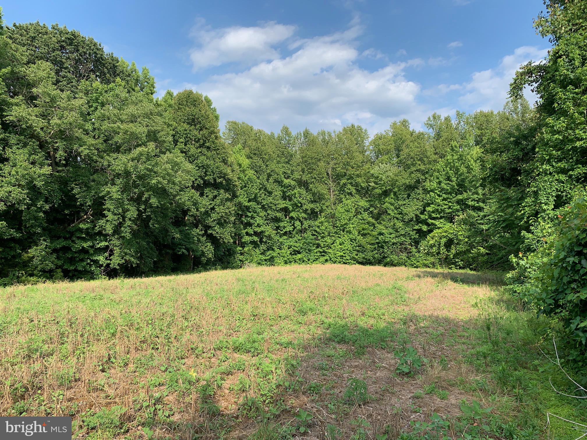 Pottiesville Road Bumpass, VA 23024 - Photo 4 of 19 Creek Is Beyond The Trees