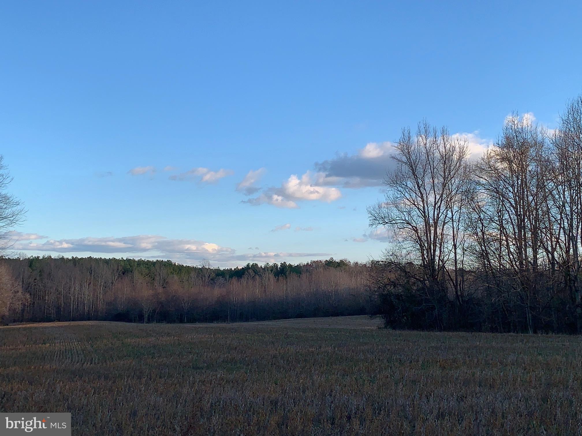 Pottiesville Road Bumpass, VA 23024 - Photo 7 of 19 Broader View of Field