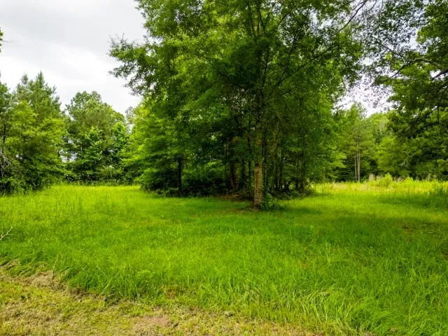 $109,120 | 22 Campbell Road, Jayess, MS 39641