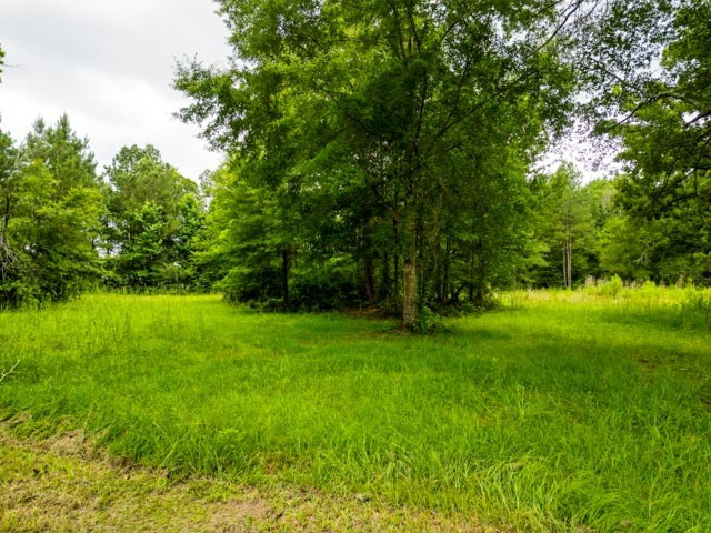 22 Campbell Road Jayess, MS 39641 - Photo 17 of 24 Photo 17