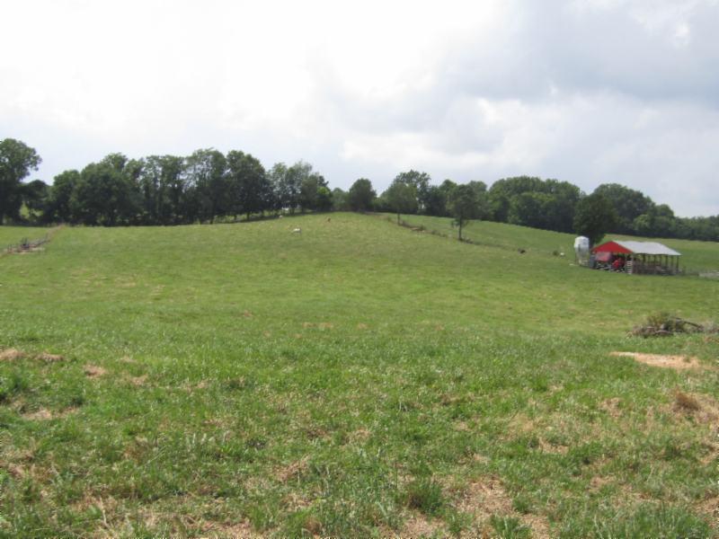 a view of a field of grass and trees