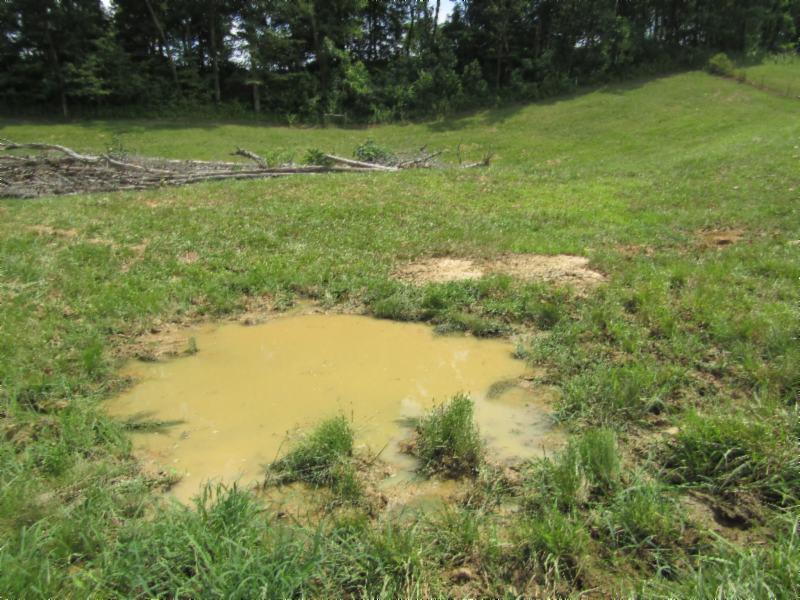 0 Carl Rogers Road Moss, TN 38575 - Photo 11 of 30 a view of a lake with a yard
