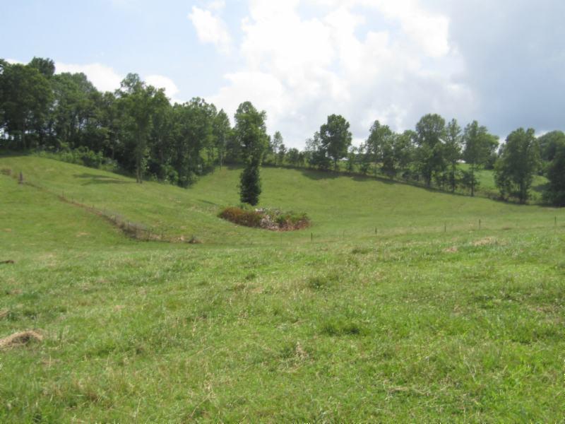 0 Carl Rogers Road Moss, TN 38575 - Photo 12 of 30 a view of field with green space