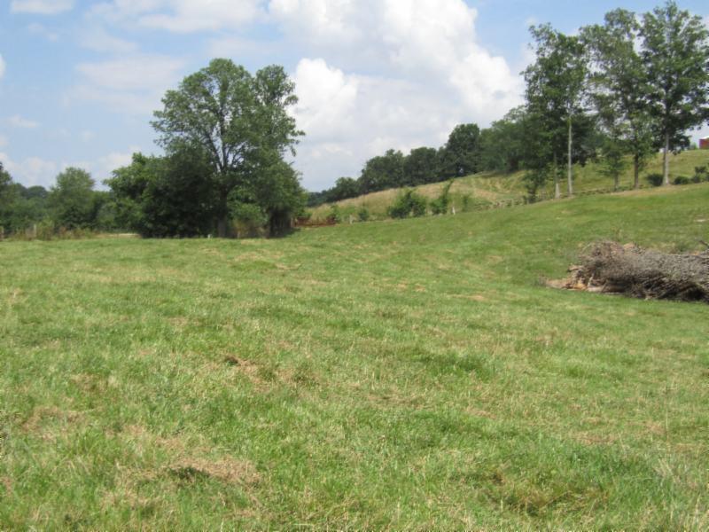 0 Carl Rogers Road Moss, TN 38575 - Photo 13 of 30 a view of a field with an trees
