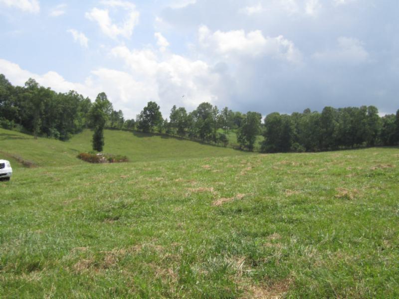 0 Carl Rogers Road Moss, TN 38575 - Photo 15 of 30 a view of a field of grass and trees