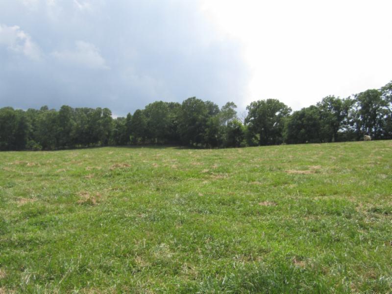0 Carl Rogers Road Moss, TN 38575 - Photo 16 of 30 a view of a field with trees in the background