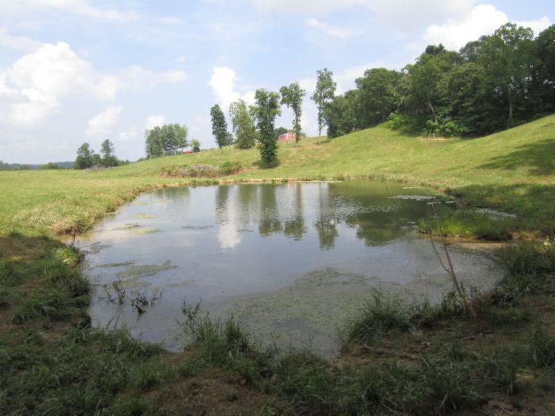 0 Carl Rogers Road Moss, TN 38575 - Photo 18 of 30 a view of a lake with a yard