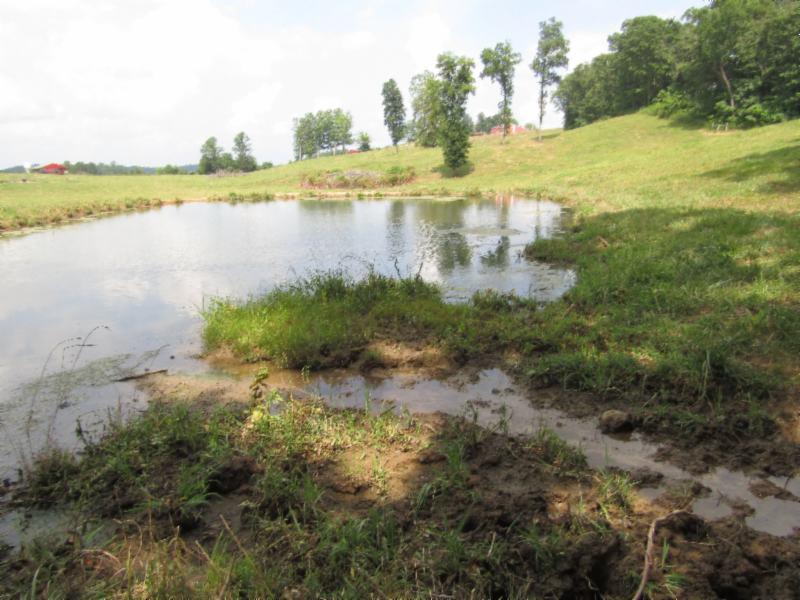 0 Carl Rogers Road Moss, TN 38575 - Photo 19 of 30 a view of a lake with a lake