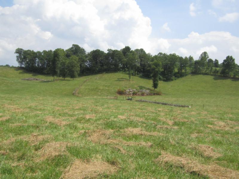 0 Carl Rogers Road Moss, TN 38575 - Photo 21 of 30 a view of outdoor space with deck and green space