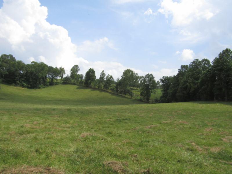 0 Carl Rogers Road Moss, TN 38575 - Photo 23 of 30 a view of field with trees in the background