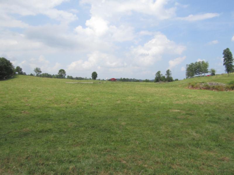 0 Carl Rogers Road Moss, TN 38575 - Photo 24 of 30 a view of a big yard with lots of green space