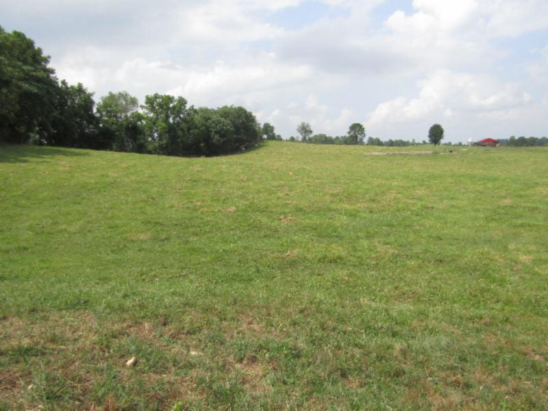 0 Carl Rogers Road Moss, TN 38575 - Photo 25 of 30 a view of a field with an ocean
