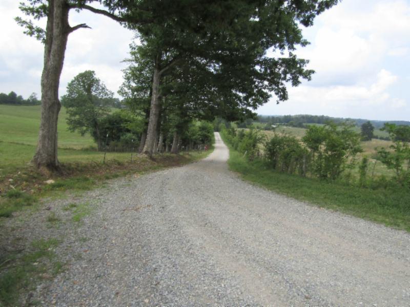 0 Carl Rogers Road Moss, TN 38575 - Photo 28 of 30 a view of a field with trees in the background