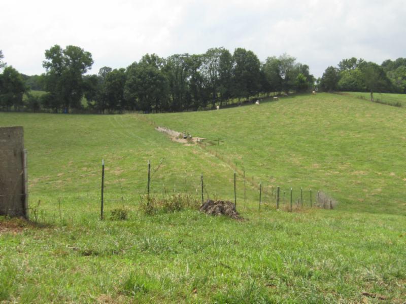 0 Carl Rogers Road Moss, TN 38575 - Photo 3 of 30 a view of a field with an outdoor space