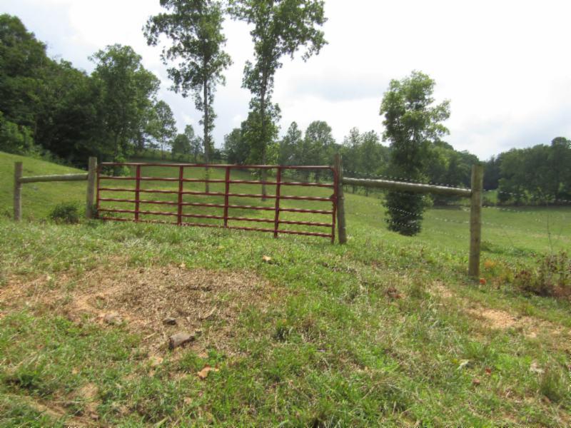 0 Carl Rogers Road Moss, TN 38575 - Photo 4 of 30 a backyard of a house with lots of green space