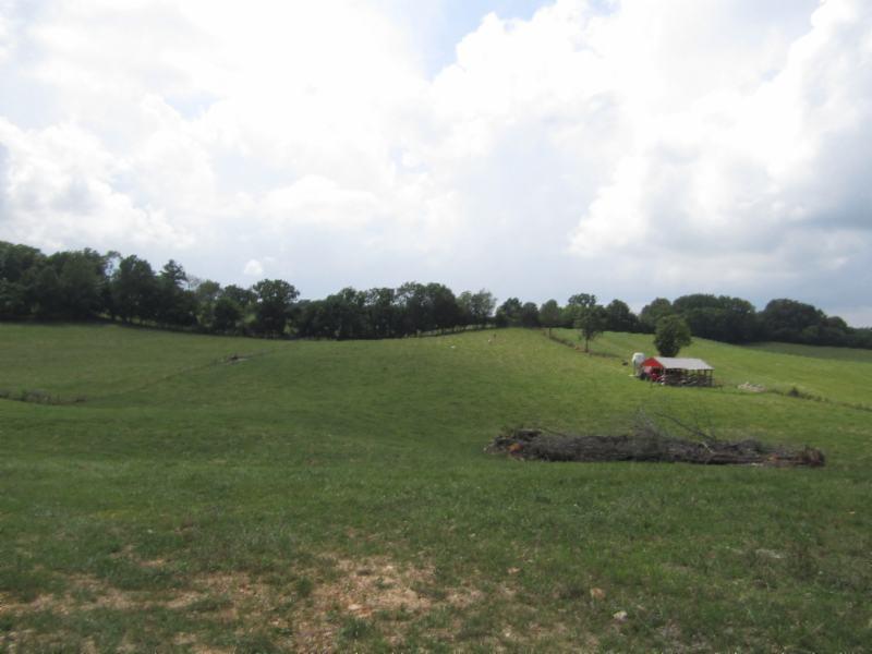 0 Carl Rogers Road Moss, TN 38575 - Photo 5 of 30 a view of a lake with a big yard